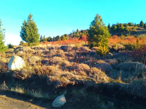 Terreno en Venta de 800,0 m2