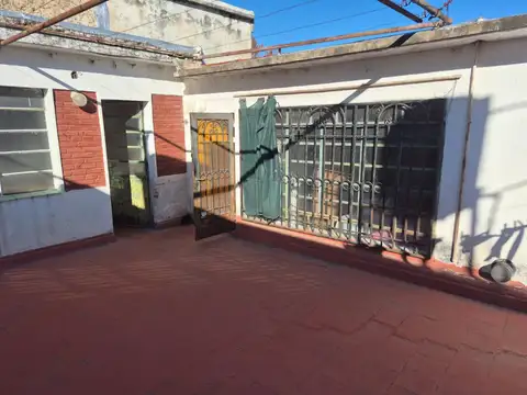 Vera Mujica 100