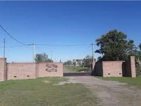 Avenida Central Alberdi y Los Eucaliptus