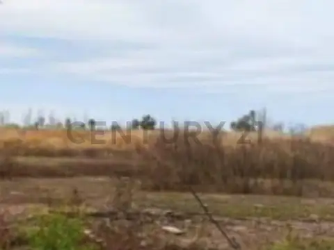 Terreno en Venta en Rodeo de la Cruz, USD 280.000