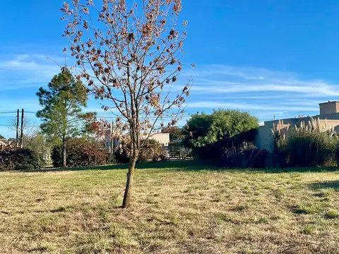 Terreno en Venta en Mercedes, USD 69.000