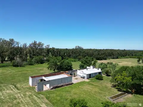 CAMPO EN PILAR 100