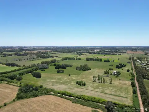 Campo en venta de 28ha ubicado en Manzanares