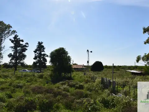 Campo en alquiler de 1500ha ubicado en Federal