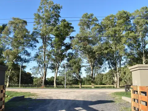 Terreno en Venta 46  mts Frente