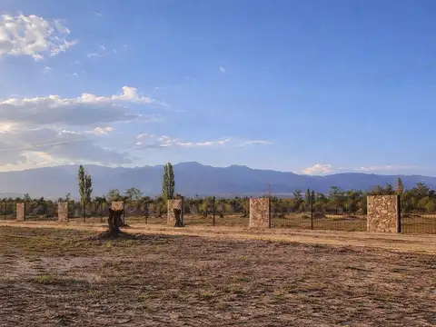 Terreno en Venta en Vistalba, Luján de Cuyo