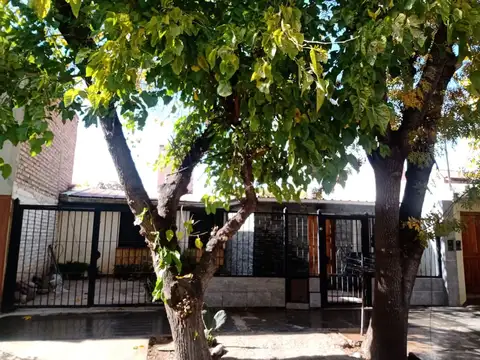 Manzana D 100