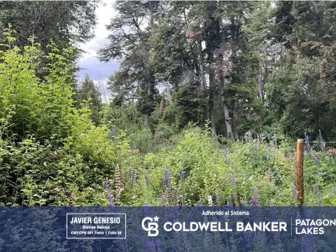 VENTA Lote | Terreno 3000m2 UF 4 Villa La Angostura Acceso al lago