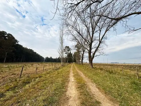 RUTA PROVINCIAL 6 Y RUTA 215