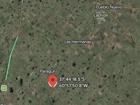 Campo Ganadero De 500 Hectáreas En Venta En Laprida