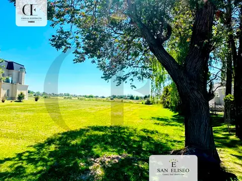 Terreno en Venta de 1200,0 m2