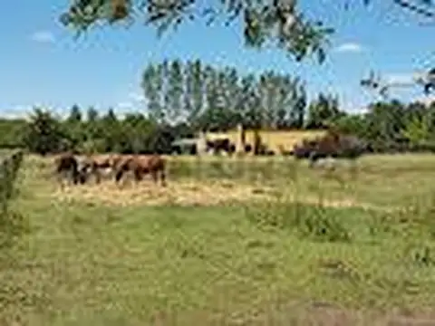 Ruta Provincial 215 kilómetro 101 San Miguel del Monte , Piso 0