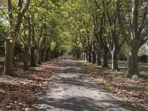 VENTA Terreno/Chacra en Club de Chacras San Pablo – San Miguel del Monte
