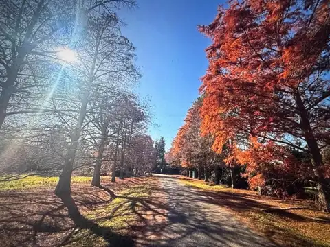 Terreno en venta - 3.950Mts2 - Luján