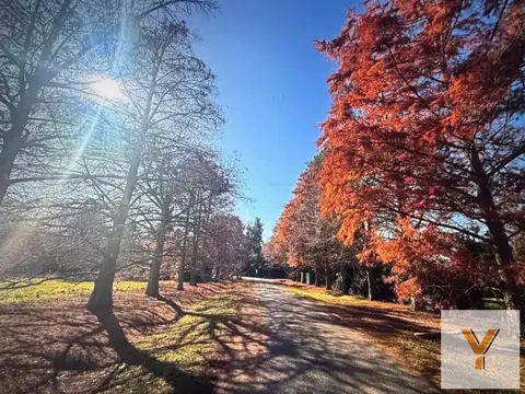 Terreno en venta - 3.950Mts2 - Luján
