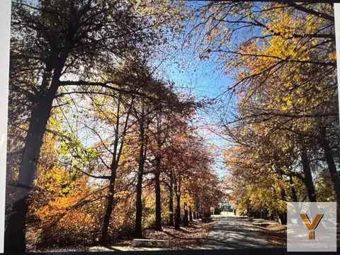 Terreno en Venta de 3950,0 m2