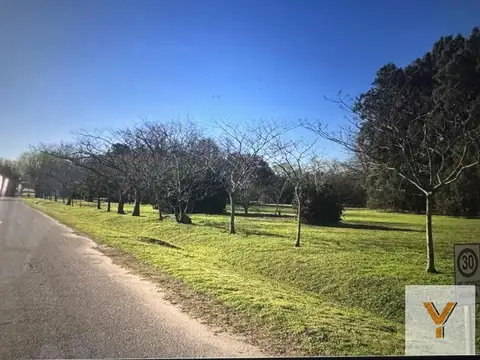 La Cañada Polo Club