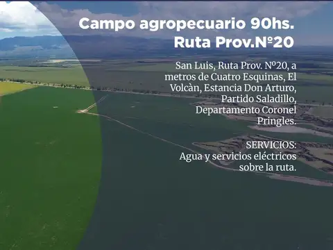 VENTA Campo agropecuario 90hs. Ruta Prov.Nº20