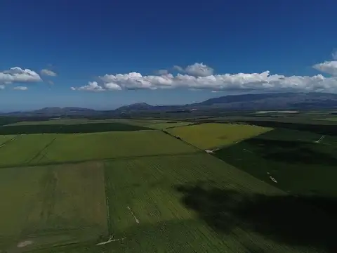 VENTA Campo agropecuario 90hs. Ruta Prov.Nº20