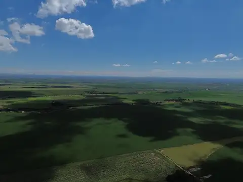 VENTA Campo agropecuario 90hs. Ruta Prov.Nº20
