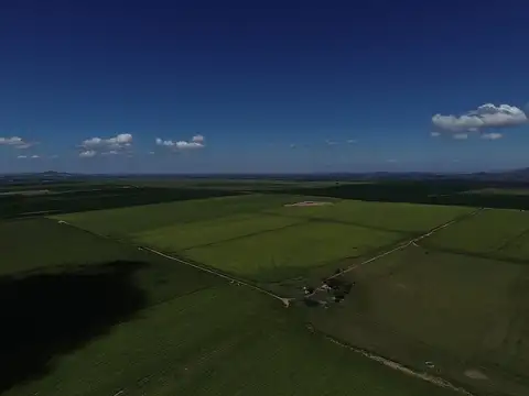 VENTA Campo agropecuario 90hs. Ruta Prov.Nº20