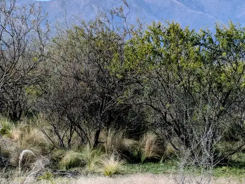 Terrenos con vista a la montaña en Yacanto, Traslasierra, Cordoba