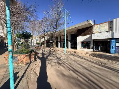 Calle 21 1000