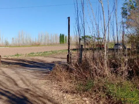 VENTA-FINCA-TULUMAYA-LAVALLE