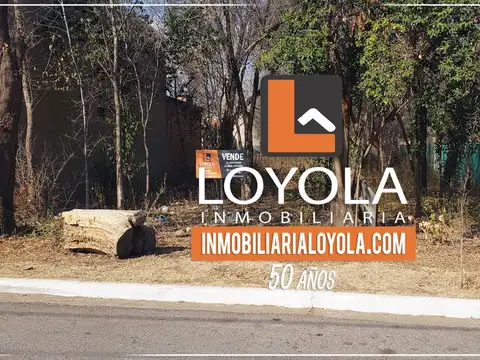 Terreno en Venta en Centro, Carpinteria