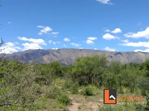 Cruz de Caña preciosa hectárea 