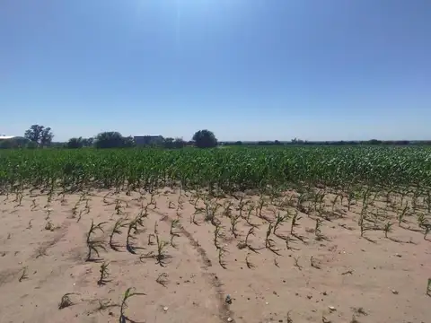 Campo en Venta en Alta Gracia, Santa María
