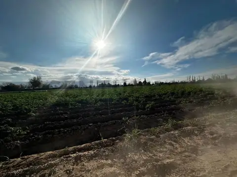 ZAPATA , Piso 0