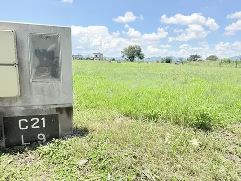 Avenida Kennedy 2000