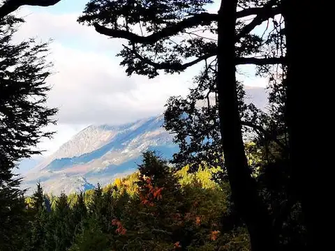 Excelente terreno con vista a la montaña y la tranquilidad del bosque en Península San Pedro. Gas