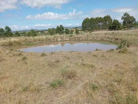 Chacra en venta Ruta 39, San Carlos Uruguay