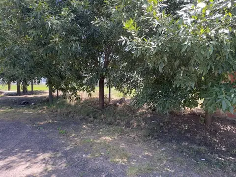 Terreno en Venta en Funes, USD 50.000