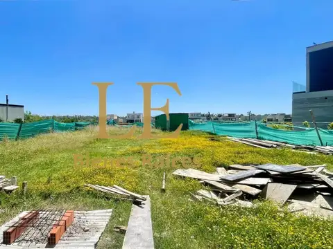 El Ensueño 100