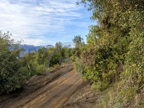 PASEO DE LOS MUSICOS , Piso 0