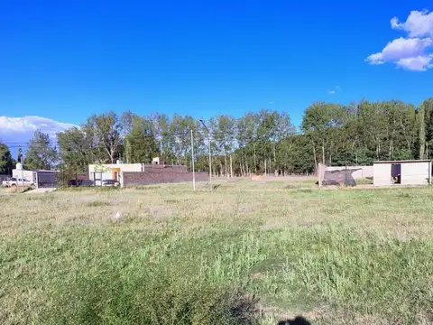 Venta lote 437 m2 zona residencial Plottier