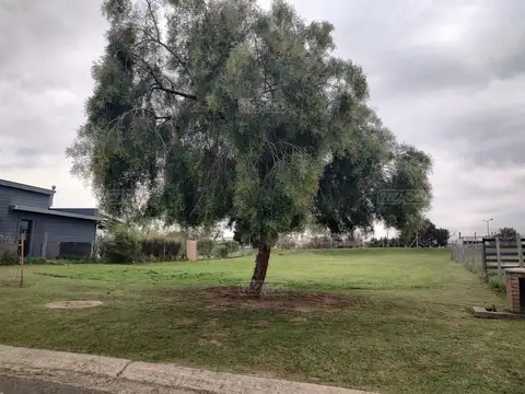 Area 2 Ntra. Señora del Rosario s/n