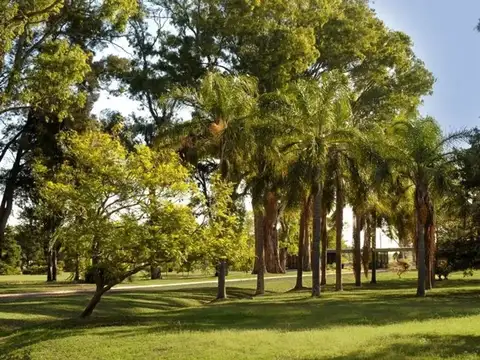 Terreno en Venta de 981,0 m2
