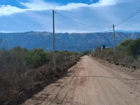 Calle 24