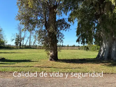 VENTA LOTE CHACRA PETION CAÑUELAS