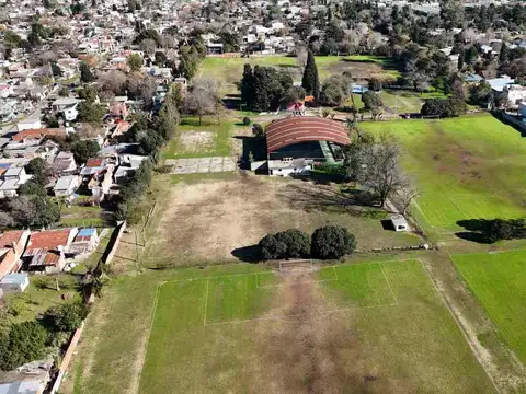 Jacaranda 200