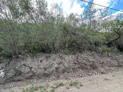Rio Anisacate 100