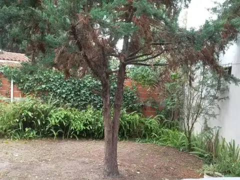 Casa en venta - 2 Dormitorios 1 Baño - Santa Teresita