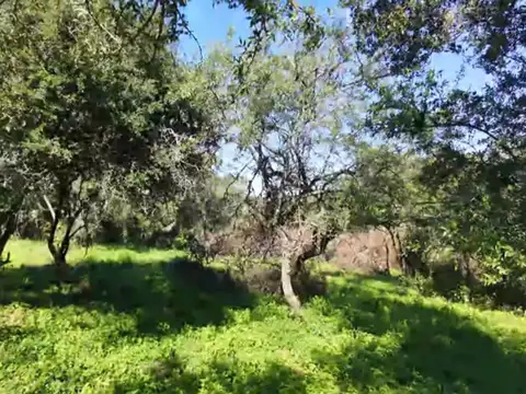 EN VENTA LOTEO DE 20 HECTAREAS EN SALSIPUEDES