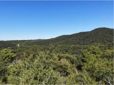 EN VENTA LOTEO DE 20 HECTAREAS EN SALSIPUEDES