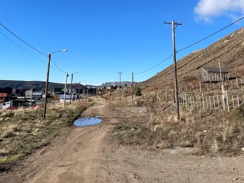 Altos de la vega 100