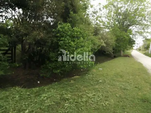 Los Naranjos, Magdalena 100